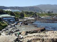 Hermanus (13) 